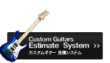 Buzz Feiten Tuning System