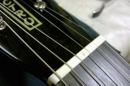 ダンエレクトロ BFTS シェルフナット ダンエレクトロ BFTS シェルフナット