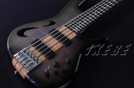 omni5b