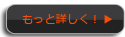 もっと詳しく