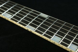 Arc-SP_StainlessFret